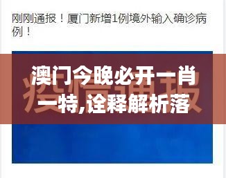 澳门今晚必开一肖一特,诠释解析落实_HDR版54.391