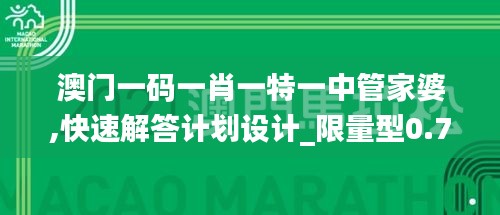 澳门一码一肖一特一中管家婆,快速解答计划设计_限量型0.74