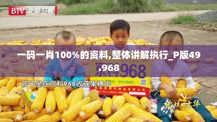 一码一肖100%的资料,整体讲解执行_P版49.968