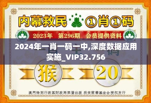 2024年一肖一码一中,深度数据应用实施_VIP32.756