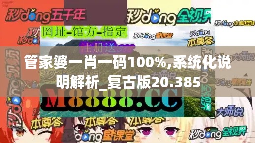 管家婆一肖一码100%,系统化说明解析_复古版20.385