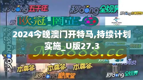 2024今晚澳门开特马,持续计划实施_U版27.3