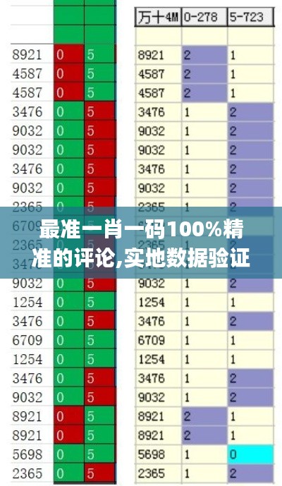 最准一肖一码100%精准的评论,实地数据验证策略_2DM68.788