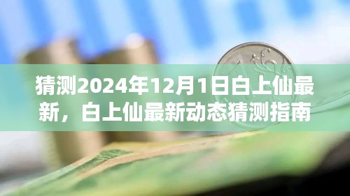 2024年12月1日白上仙最新动态猜测指南，探索新动向与预测