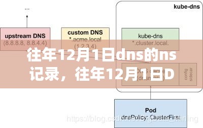 往年12月1日DNS的NS记录深度解析，特性、体验、竞品对比与用户群体分析