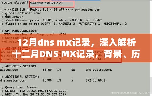 深入解析，十二月DNS MX记录的历程、背景、影响与地位