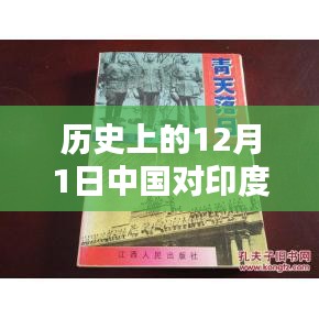 2024年12月2日 第19页