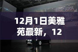 揭秘现代都市生活的优雅居住典范，美雅苑最新动态报道（12月1日）