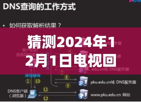 电视回看遭遇DNS域名访问挑战，预测未来如何应对