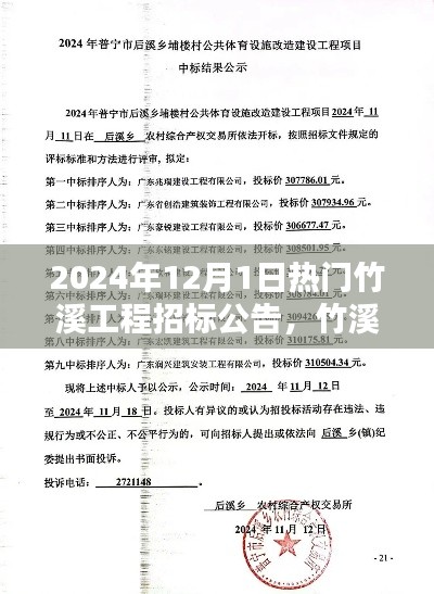 竹溪工程招标公告深度解读与体验指南（2024年12月版）