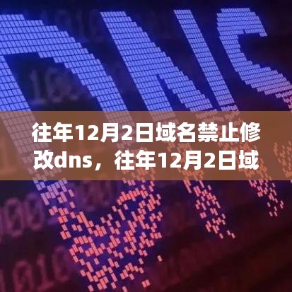 往年12月2日域名DNS冻结详解，功能特性、用户体验、竞品对比及目标用户分析