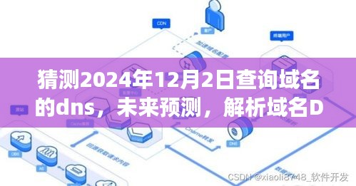 未来域名DNS查询的发展与趋势分析，聚焦2024年预测与解析展望（DNS查询展望至2024年）