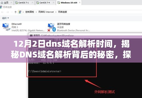 揭秘DNS域名解析背后的秘密，探寻12月2日的独特解析时间解析过程与原理