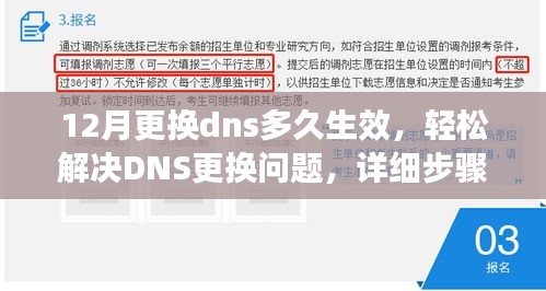 12月DNS更换详解，生效时间与解决步骤，助你轻松掌握DNS更换流程