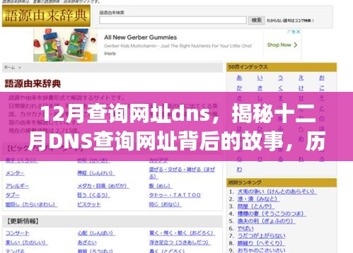 揭秘十二月DNS查询网址背后的历程、影响与时代地位，探寻故事背后的故事