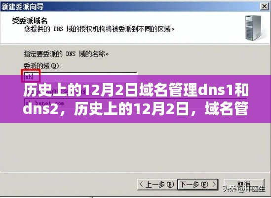 历史上的12月2日，域名管理DNS1和DNS2的详细步骤指南与解析