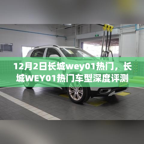 长城WEY01热门车型深度解析，特性、使用体验与目标用户分析