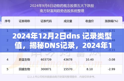 揭秘DNS记录，深度解析2024年12月2日的DNS记录类型与值解析