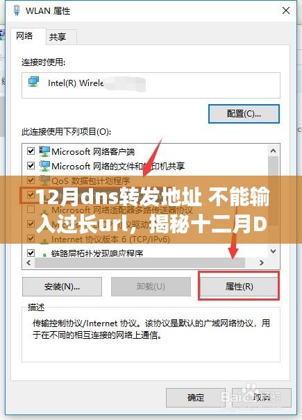 揭秘，十二月DNS转发地址限制与重塑网络时代幕后力量