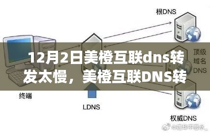 2024年12月3日 第5页