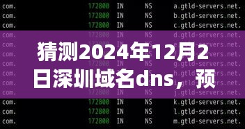 2024年深圳域名DNS发展趋势分析与预测，未来域名解析走向猜测