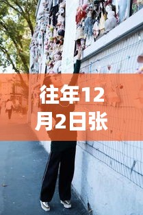 独家揭秘，张柏芝往年12月2日最新动态，女神冬日生活一览无余！