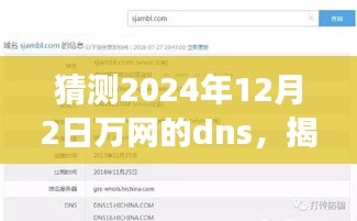 揭秘未来之旅，探寻万网DNS背后的美景与内心宁静的启程，预测2024年万网DNS解析猜测日（日期为猜测）