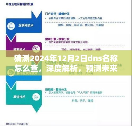 如何预测并深度解析未来的DNS查询方式（2024年12月2日版，DNS名称查询指南）