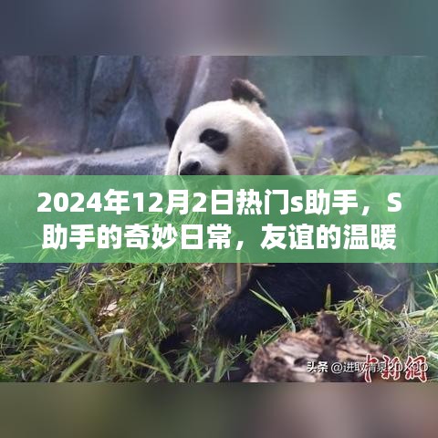 S助手日常，友谊与科技的魔法交汇于2024年12月2日