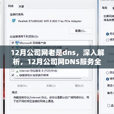 12月公司网络DNS服务深度解析与全面评测