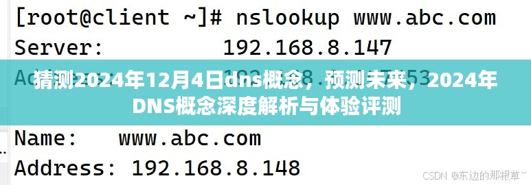 建议，，深度解析与体验评测，预测未来DNS概念在2024年12月4日的演变与挑战