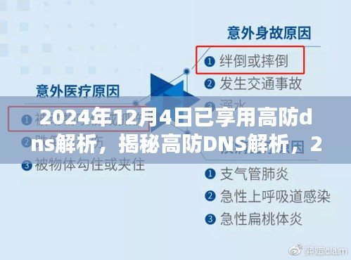 揭秘高防DNS解析，网络新体验，畅享未来安全解析服务