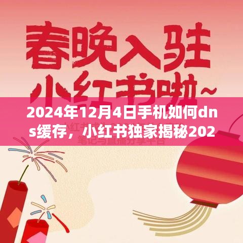 小红书独家揭秘，手机DNS缓存优化技巧，让你的网络更流畅——2024年12月4日指南