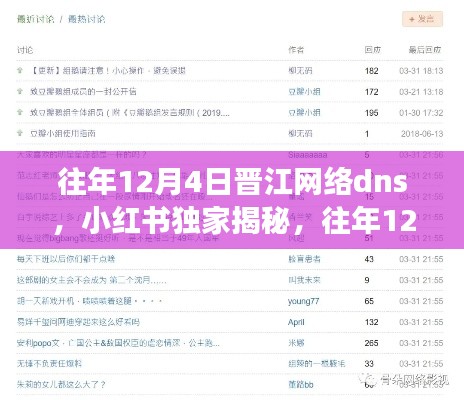 揭秘往年12月4日晋江网络DNS背后的故事，小红书独家报道