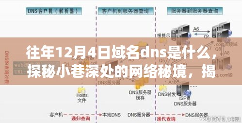 探秘往年12月4日域名DNS背后的故事与小巷深处的网络秘境，遇见特色小店的独特魅力