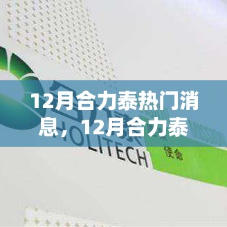 12月合力泰热门消息全面解析，最新动态与深度探讨