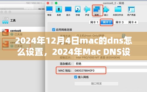 2024年Mac DNS设置详解，特性、体验、竞品对比与用户指南