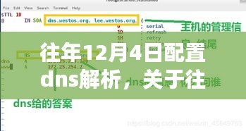 关于往年12月4日DNS解析配置深度探讨及观点解析