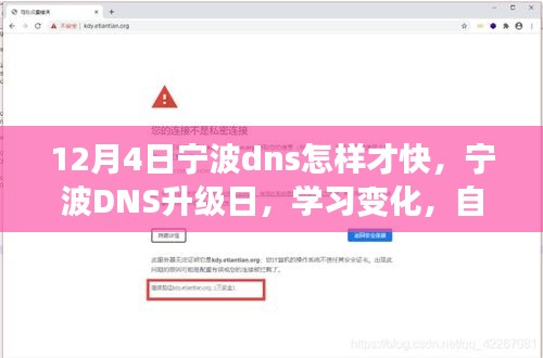 宁波DNS升级日，提速自信，开启速度与激情之旅