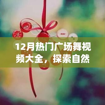 12月广场舞，舞动心灵，探索自然美景，唤醒内心的平静与喜悦