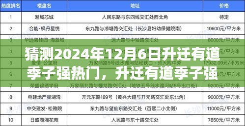 2024年季子强升迁有道热门预测，产品特性与用户体验深度解析