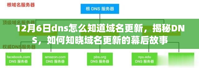 12月6日dns怎么知道域名更新，揭秘DNS，如何知晓域名更新的幕后故事