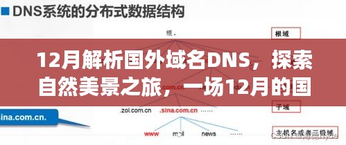 12月国外域名DNS解析之旅，探索自然美景与内心平静之旅