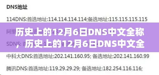 历史上的12月6日DNS中文全称解析指南，全面解析步骤