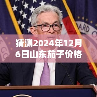 揭秘预测，2024年山东茄子价格行情深度解析与热门预测趋势分析