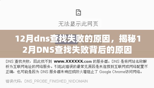 揭秘12月DNS查找失败的原因及解决方案