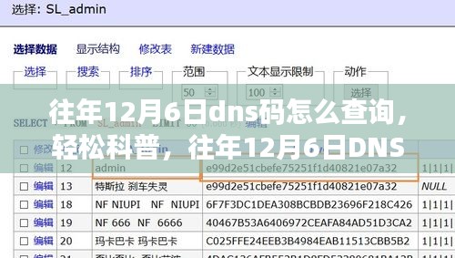 往年12月6日DNS码查询方法与详解，轻松科普教程