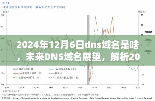 2024年12月6日DNS域名解析展望，走向与未来影响