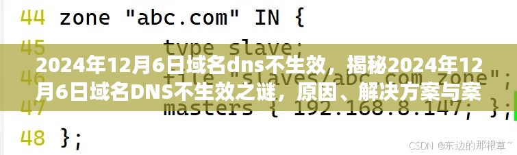 揭秘域名DNS不生效之谜，原因、解决方案与案例分析（针对2024年12月6日）