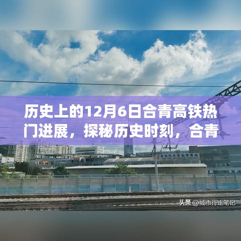 2024年12月8日 第8页